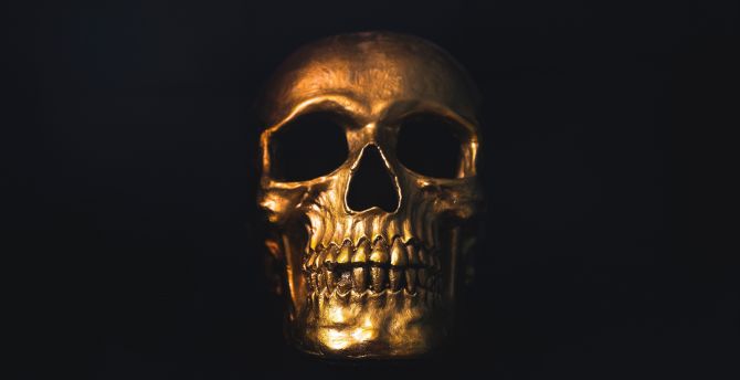 Golden skull, minimal wallpaper