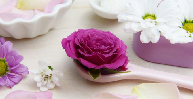 Aroma, spoon, flowers, roses wallpaper