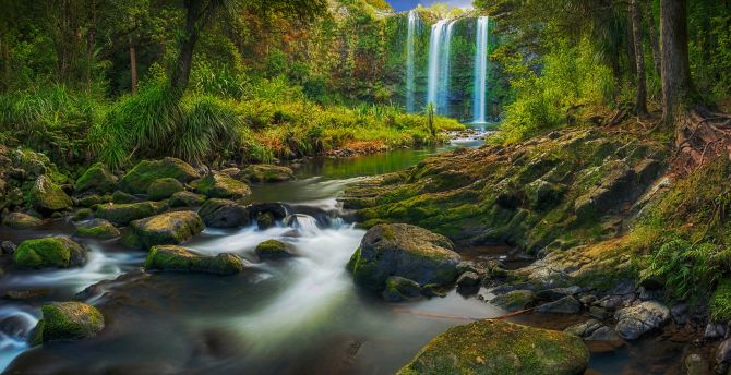 Waterfall, flowing river, forest, green and beautiful nature wallpaper