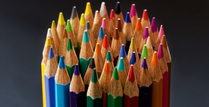 Pencil, colorful tips, stationary wallpaper