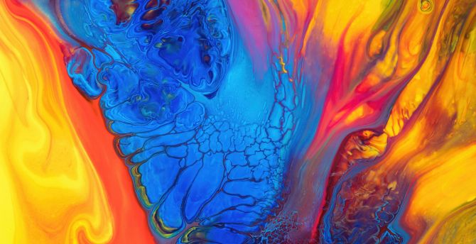 Multi-colored texture, abstraction, fluid like artwork wallpaper