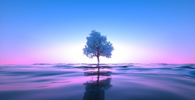 Tree neon, body of water, reflections. clear sky, pink-blue digital art wallpaper