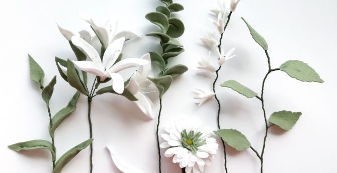 Wallpaper white flowers, green leaves, fresh desktop wallpaper, hd image,  picture, background, bc9d15 | wallpapersmug