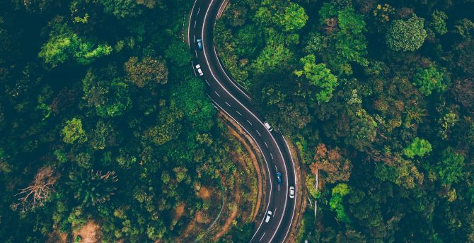 Road, highway, nature, trees, aerial view wallpaper