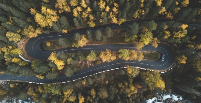 Curves, turns, highway, aerial view, green trees, nature wallpaper
