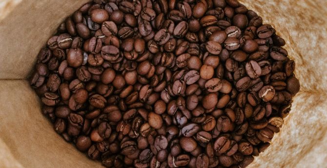 Beans, roasted coffee, coffee beans wallpaper