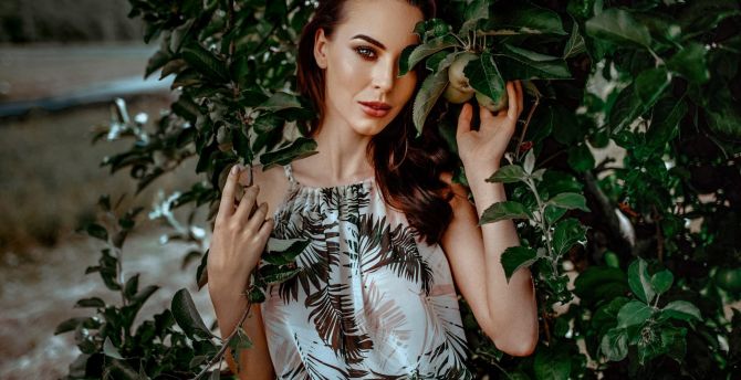 Woman model, tree, outdoor wallpaper