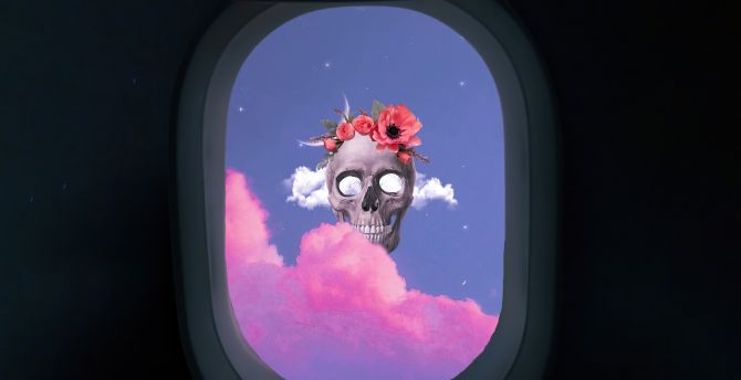 Skull from flight window, art wallpaper