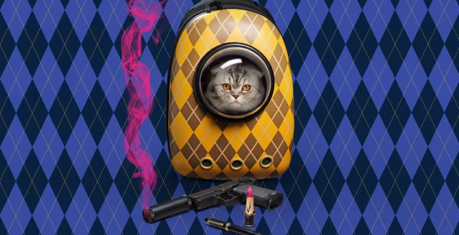 Argylle movie, cat in bag and gun wallpaper