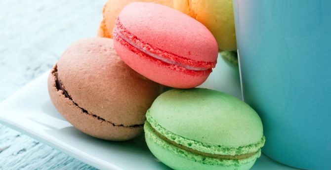 Macaron, food, sweet and colorful wallpaper