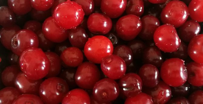 Cherry, fruits, fresh, water drops, red wallpaper