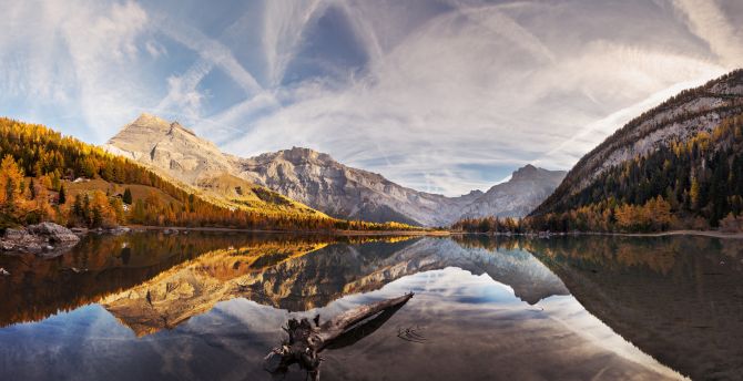 Mountains, lake, reflections, tree, forest wallpaper
