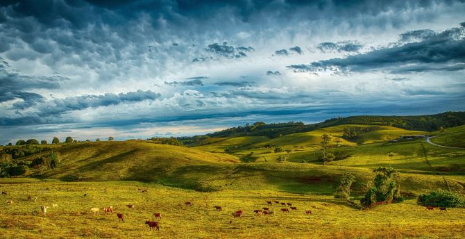Hills, landscape, clouds, sky, Byron Bay, Australia wallpaper