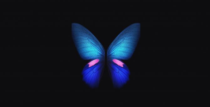 Samsung Galaxy Fold, Blue butterfly, minimal, art wallpaper
