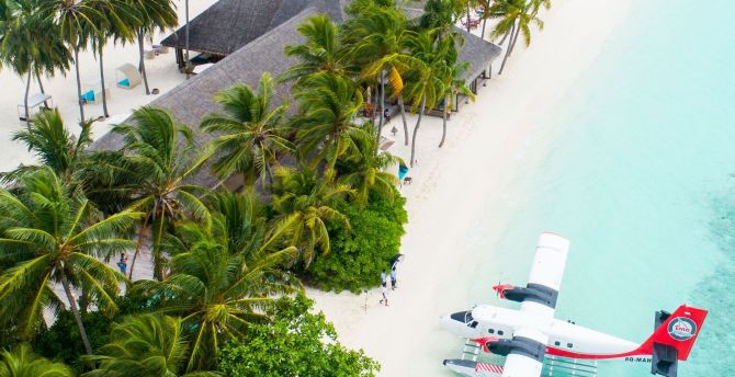 Maldives, Tropical beaches, resort, palm trees, aerial view wallpaper