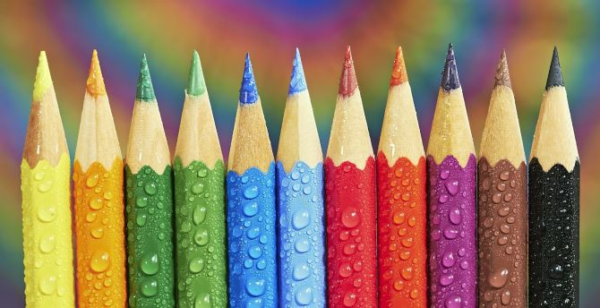 Drops on pencils, colorful wallpaper