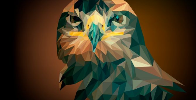 Eagle, muzzle, low poly, abstract wallpaper