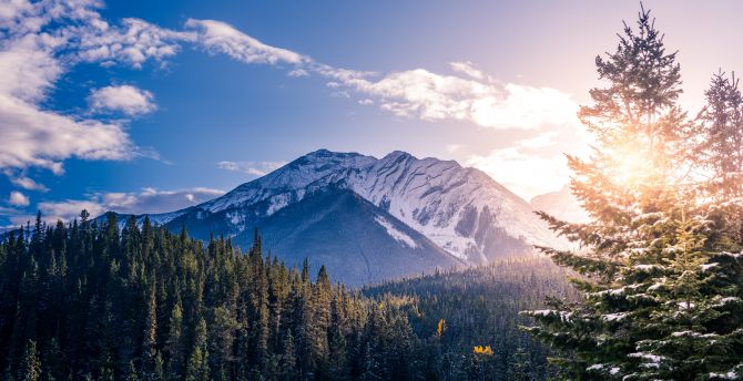 Banff National Park, mountains, forest, trees, sunlight, Canada wallpaper