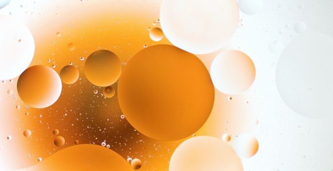 Orange bubbles, macro wallpaper