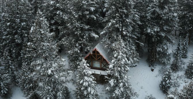 Hut in forest, drone shot, winter wallpaper