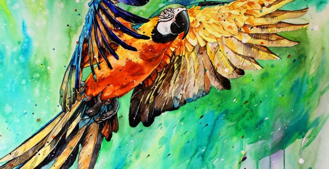 Macaw, parrot, art wallpaper