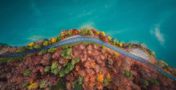 Curve of highway, autumn, nature, aerial view wallpaper