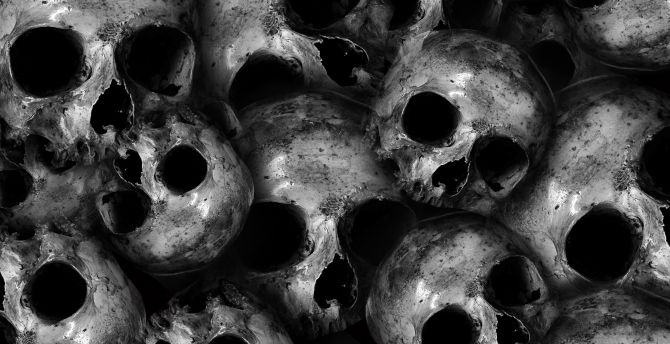 Scary, skulls, dark wallpaper