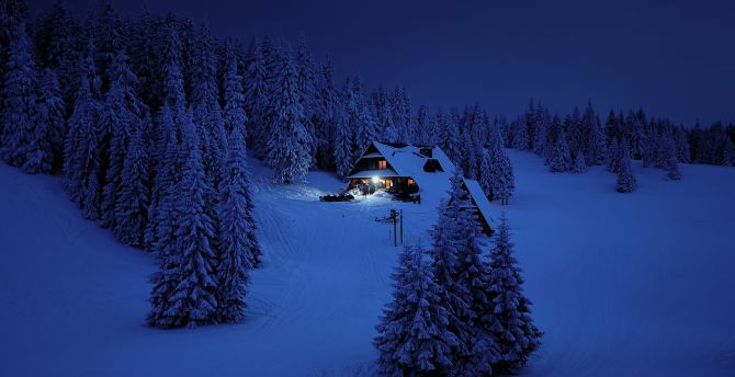 House, night, winter, trees, snow layer, nature wallpaper