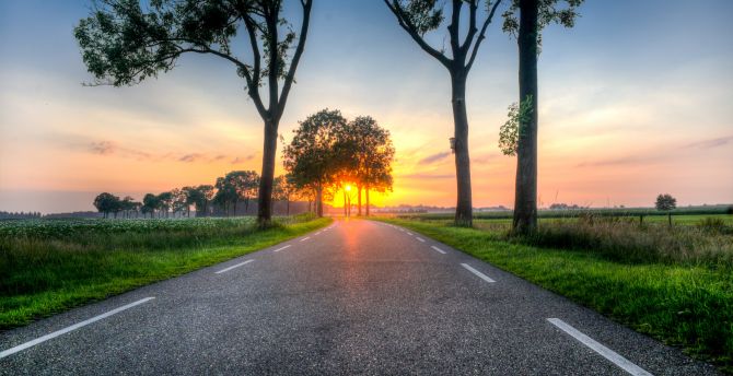Road, highway, trees, landscape, sunset wallpaper