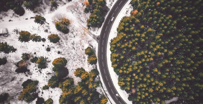 Road curve, aerial view, forest wallpaper