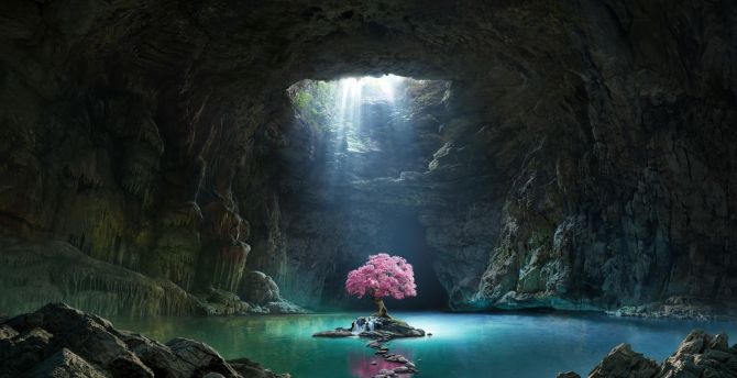 Desktop wallpaper pink tree, blossom, cave, lake, nature ...