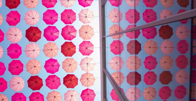 Pinkish umbrella, reflections, decoration wallpaper