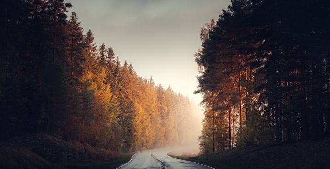 Lone road in autumn morning, Finland wallpaper
