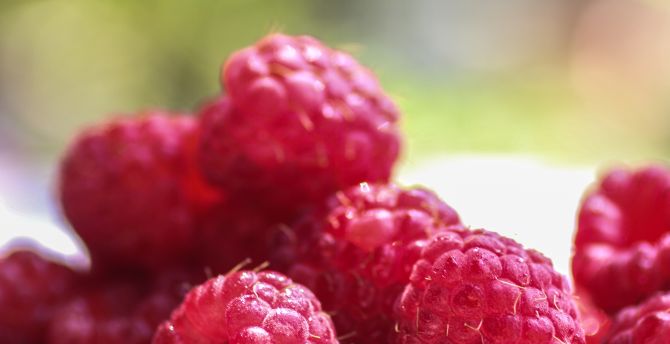 Raspberries, red fruits, close up wallpaper