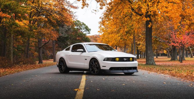 White, Ford Mustang, sports car wallpaper