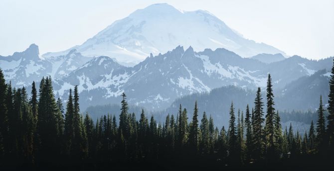 Summit, glacier, mountain Rainier, nature wallpaper