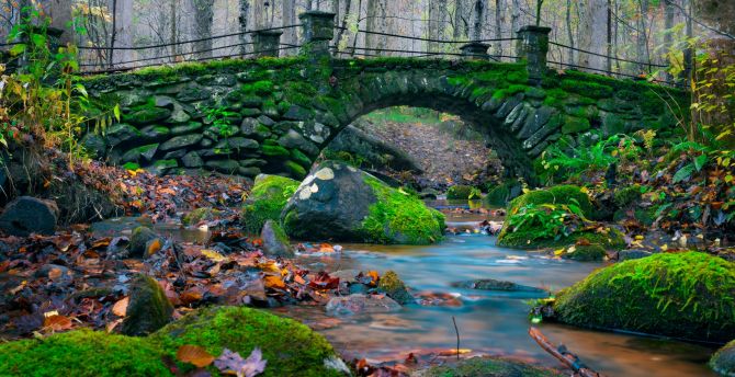 Moss, nature, rocks, stone bridge, river wallpaper