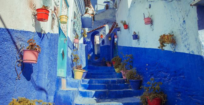 Blue house paint, street, city, colorful wallpaper