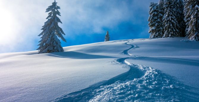 Austria's winter, landscape, winter, snow layer wallpaper