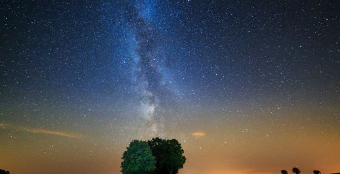 Tree, night, milky way, galaxy, stars wallpaper