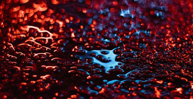 Blood-red, liquid, glare, bokeh wallpaper