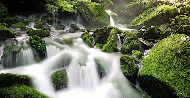 Wallpaper rocks, moss, water stream, nature desktop wallpaper, hd image ...