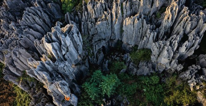 Stone forest, rocks, aerial view, nature wallpaper