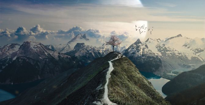 The moon and tree, mountain top, fantasy wallpaper