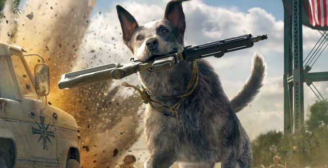 Dog, Run, Far Cry 5, video game wallpaper