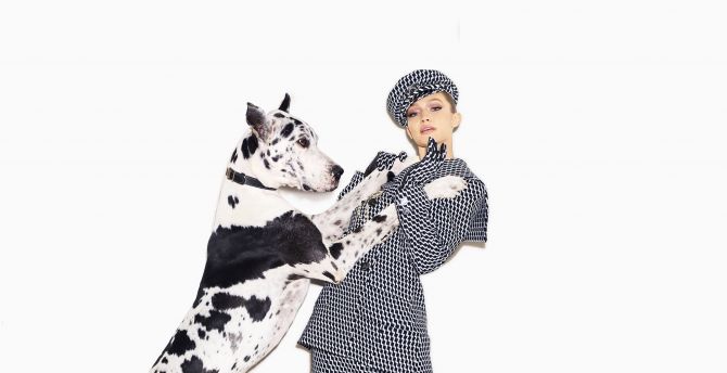 Gigi hadid, dog, Harpers Bazaar, may, 2018 wallpaper