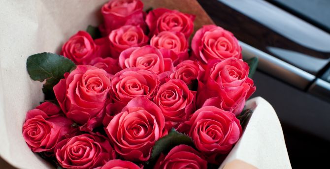 Red roses, bouquet, fresh flowers wallpaper