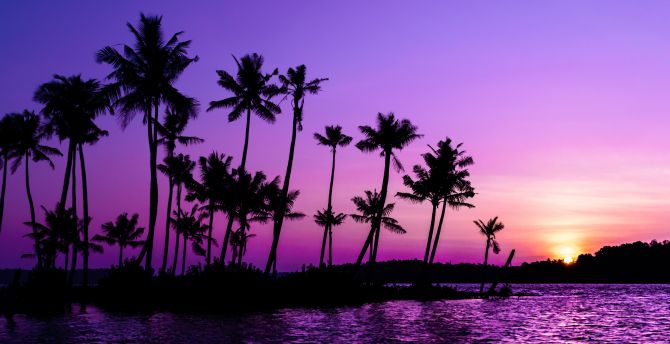 Purple sky, palm trees, lake wallpaper
