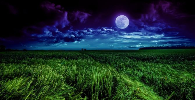 Grass field, moon, landscape, night, clouds wallpaper