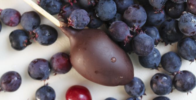 Blueberries, drops, chocolate lollipop, fresh wallpaper
